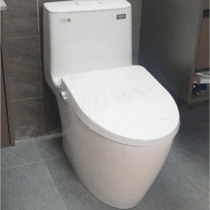 Bàn cầu INAX 2 khối C-333VTN màu trắng