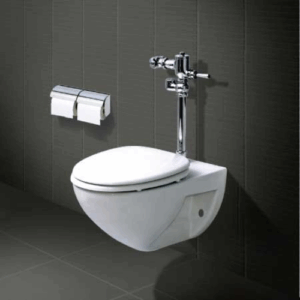 Bàn cầu treo tường inax C-22PVR