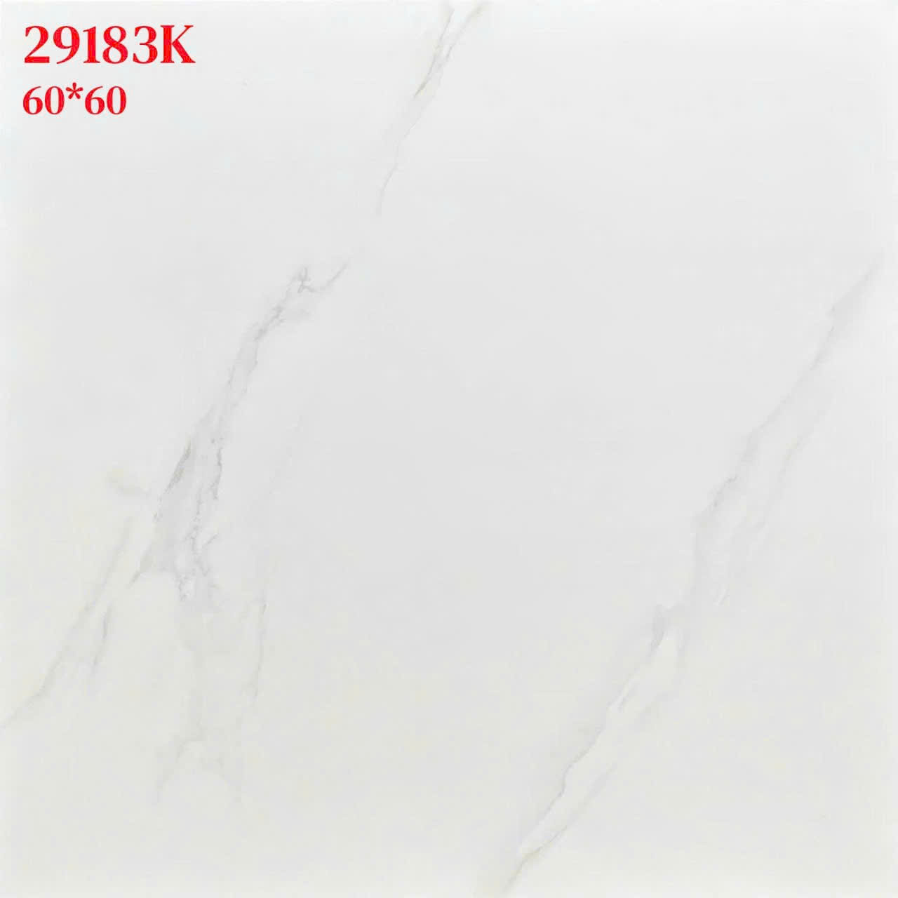 z7154076788964_b8e4ad2a54e994ceda6f4a137c53810b