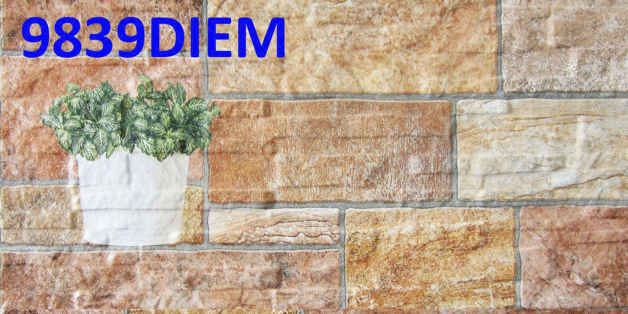 z7156117356312_58cb822b63b7abe00a5bf3888b309feb