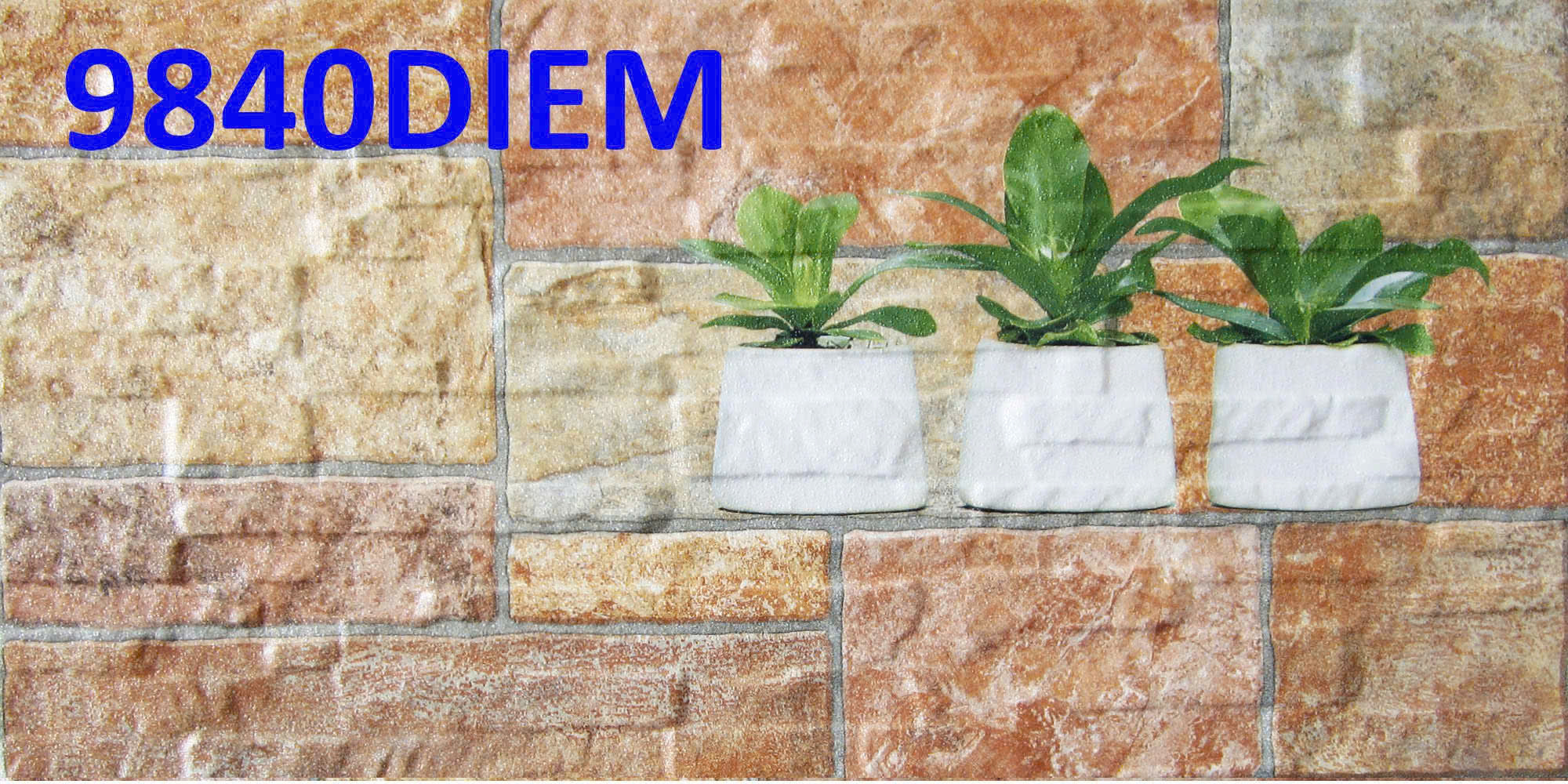 z7156117359407_d293561ff16a39fb754c7e12dc334331