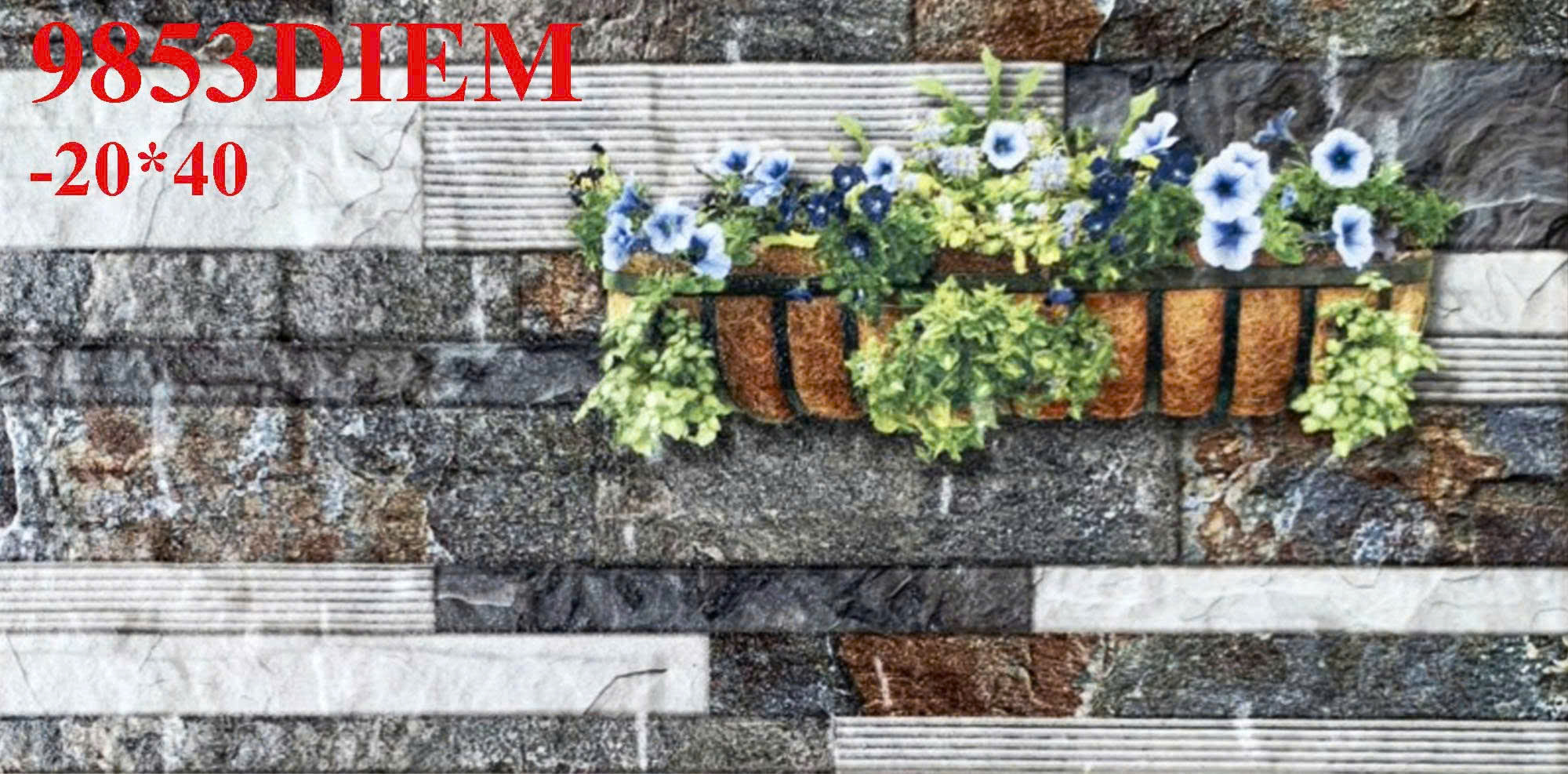 z7156117382767_33799dc41ba39df45a3d10f40a1c9920