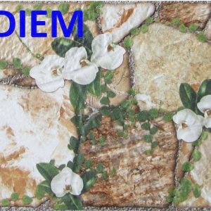 Gạch trang trí 20×40 Prime GIÁ SIÊU RẺ