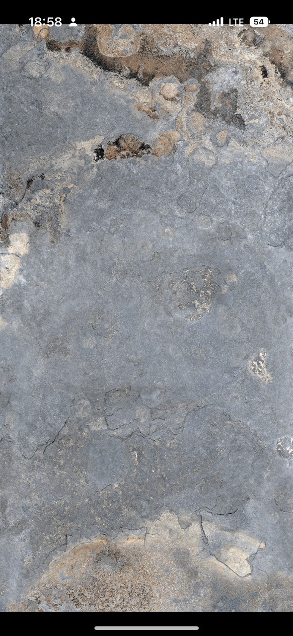 z7164050986879_11df9e7e55086098527085ea48ef5d59