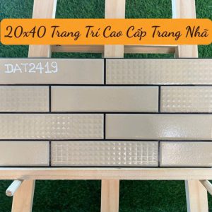 Gạch Trang Trí Cao Cấp 20x40