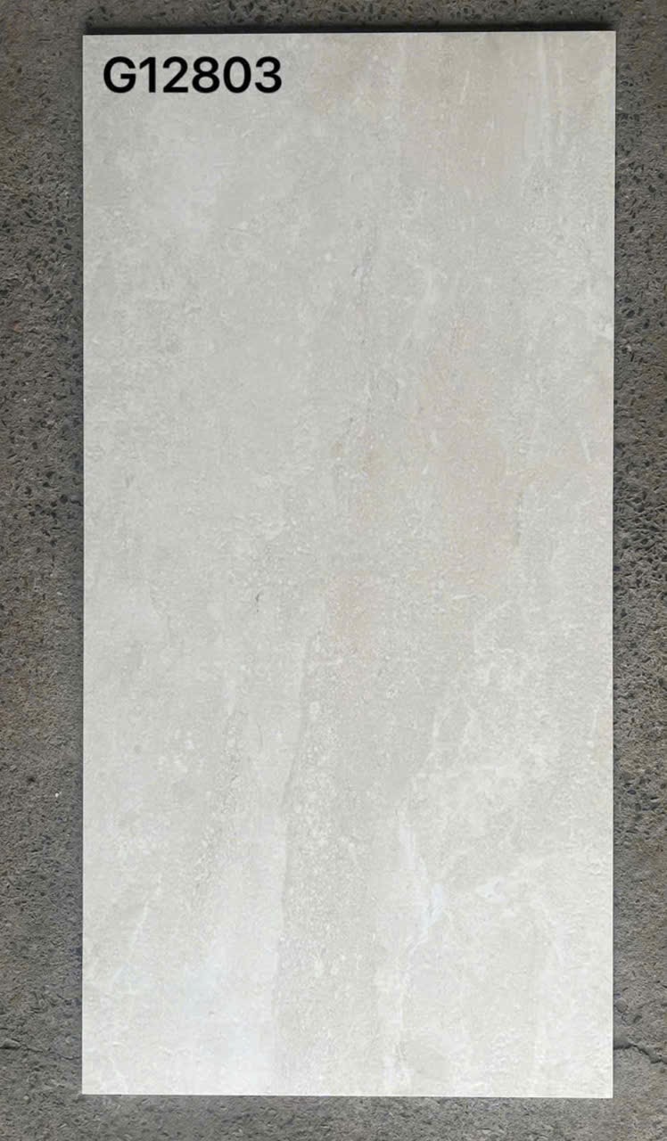 Đá Mờ Granit 60x120 Taicera
